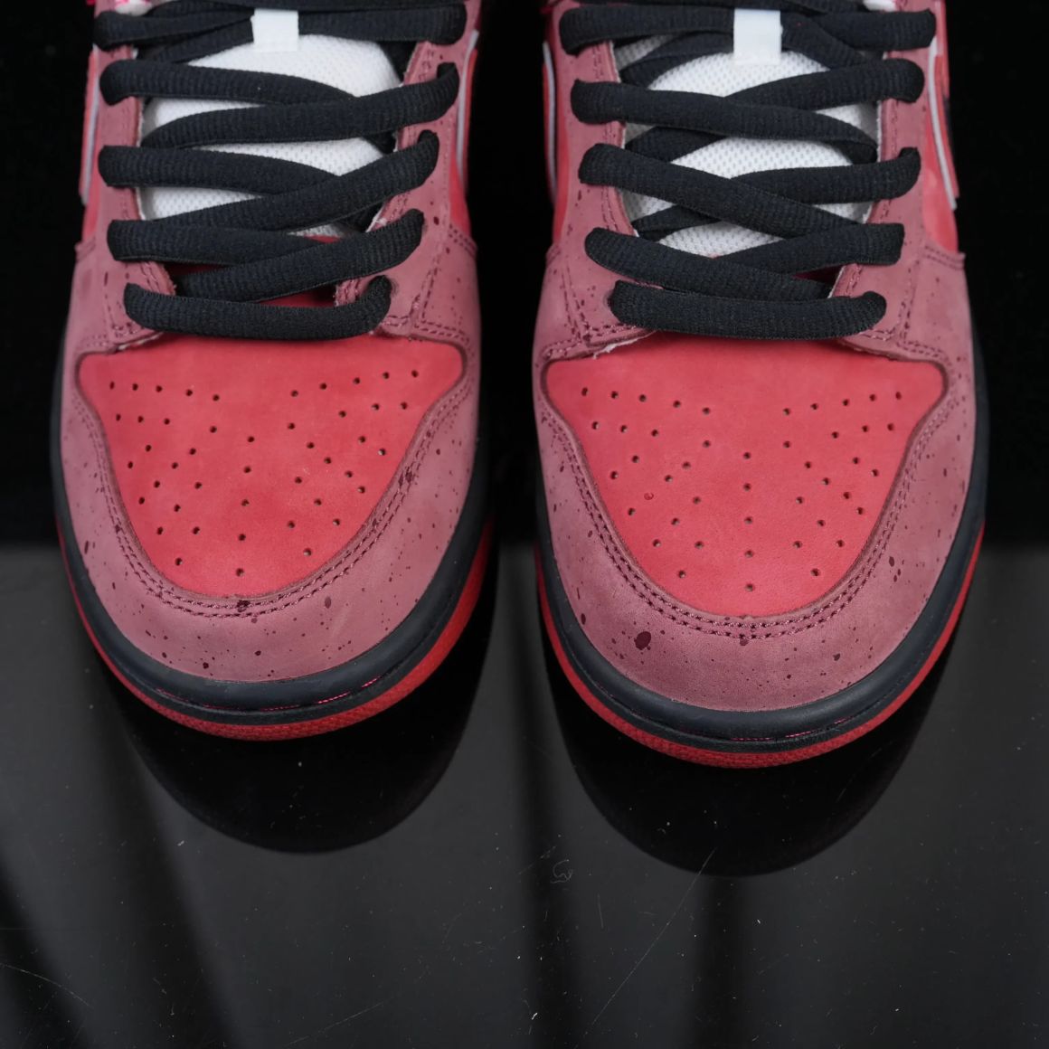 Dunk SB Red Lobster