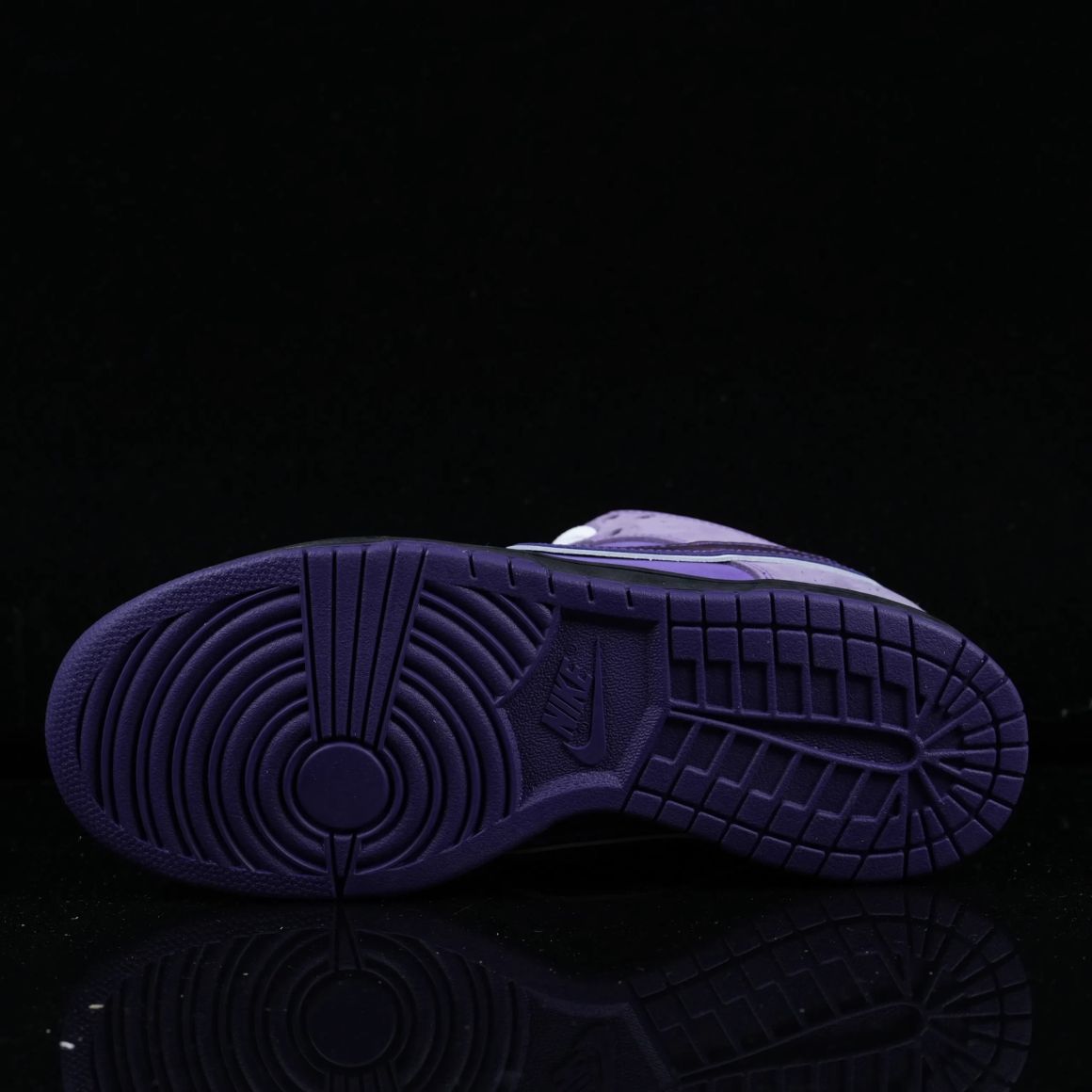 CONCEPTS x Dunk SB Pro OG BV1310-555