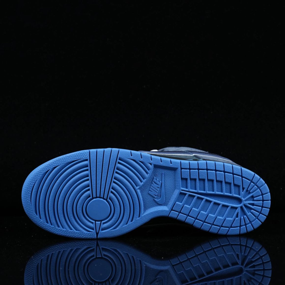Dunk SB Blue Lobster