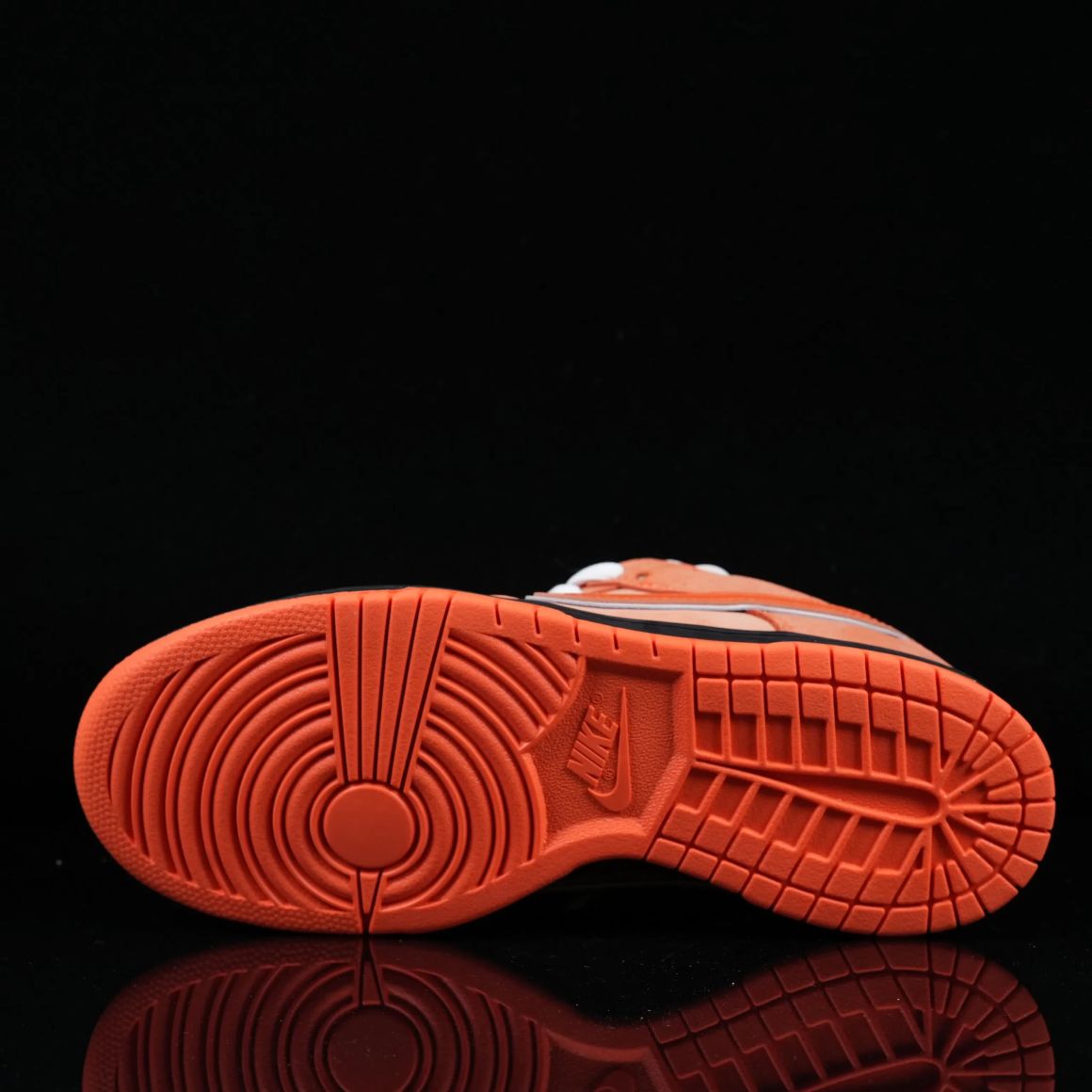 x CONCEPTS Dunk SB Orange Lobster FD8776-800