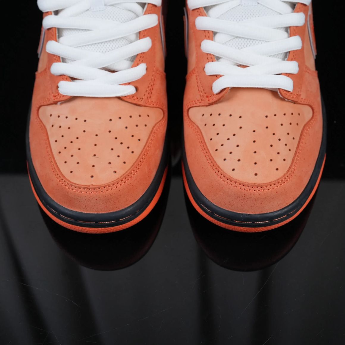 x CONCEPTS Dunk SB Orange Lobster FD8776-800