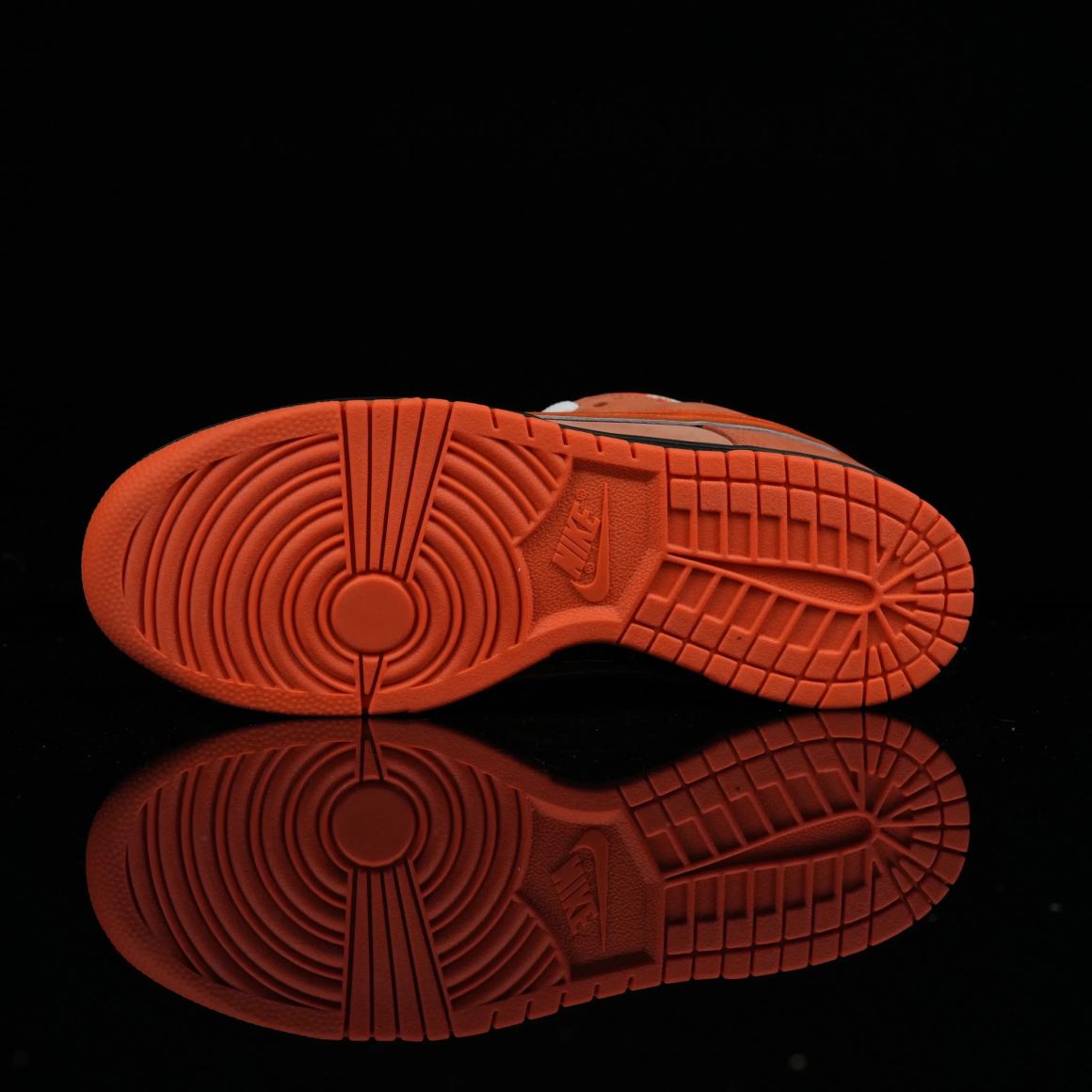 Concepts x Dunk Low SB 'Orange Lobster' FD8776-800