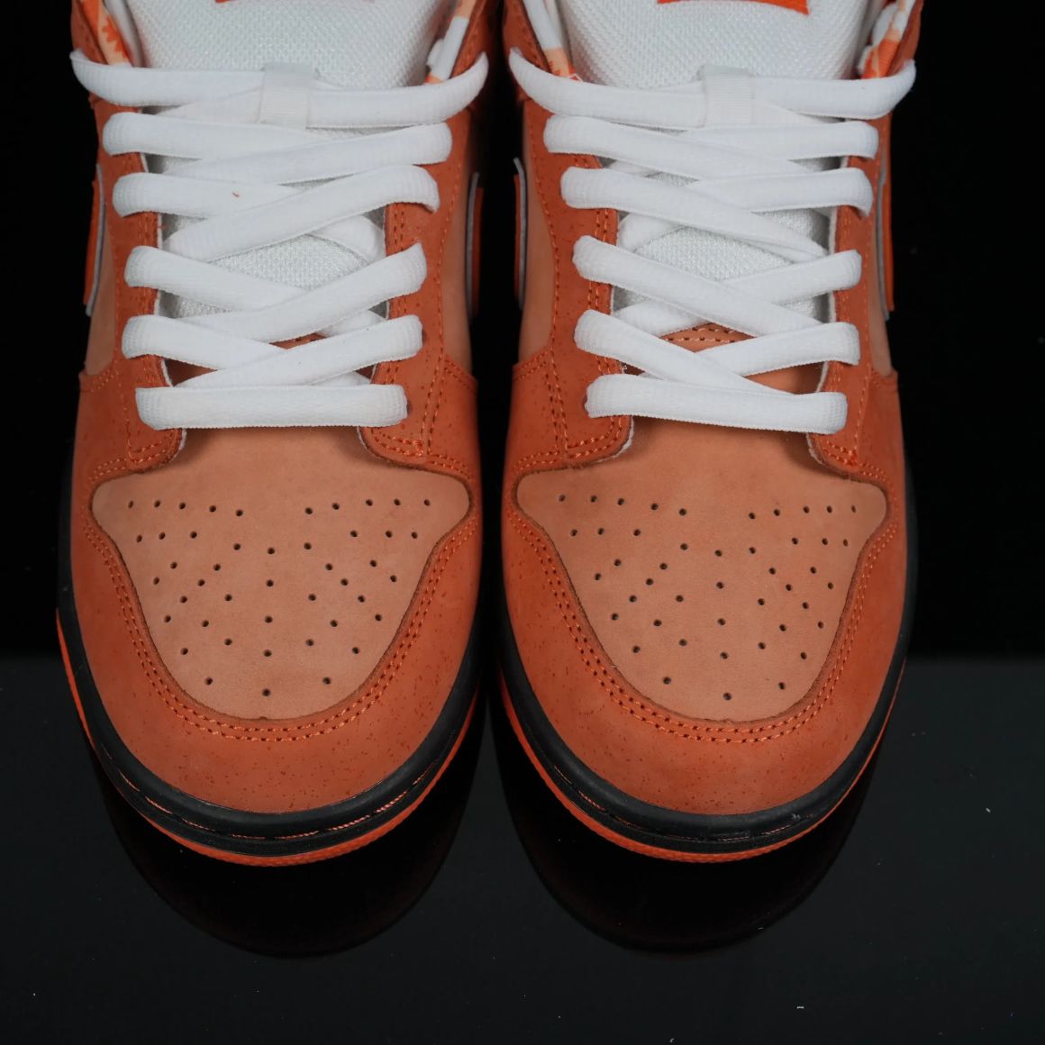 Concepts x Dunk Low SB 'Orange Lobster' FD8776-800