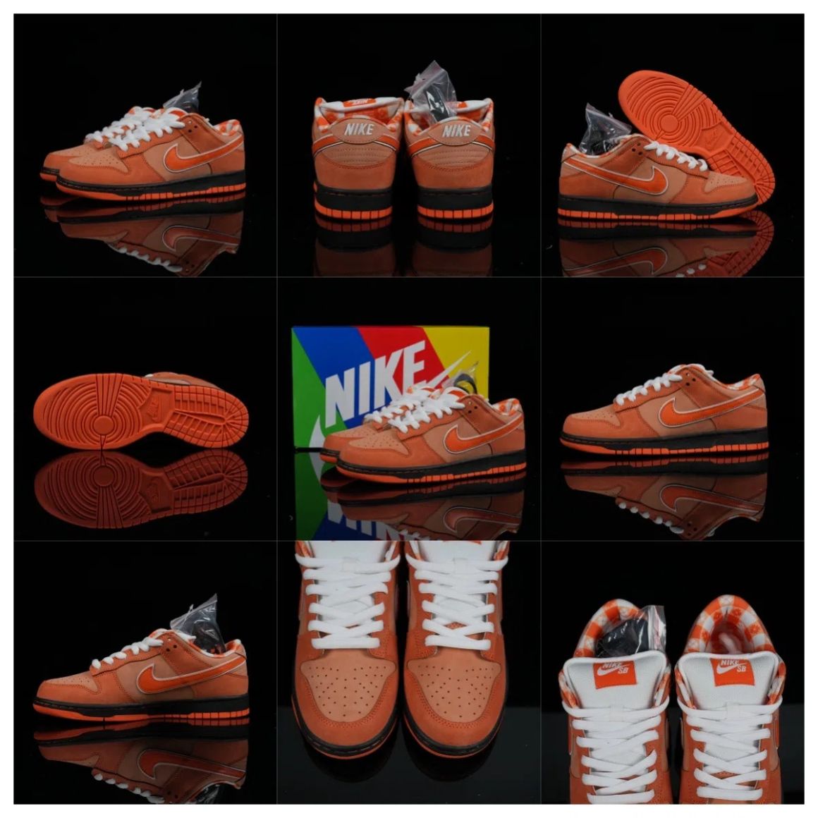 Concepts x Dunk Low SB 'Orange Lobster' FD8776-800
