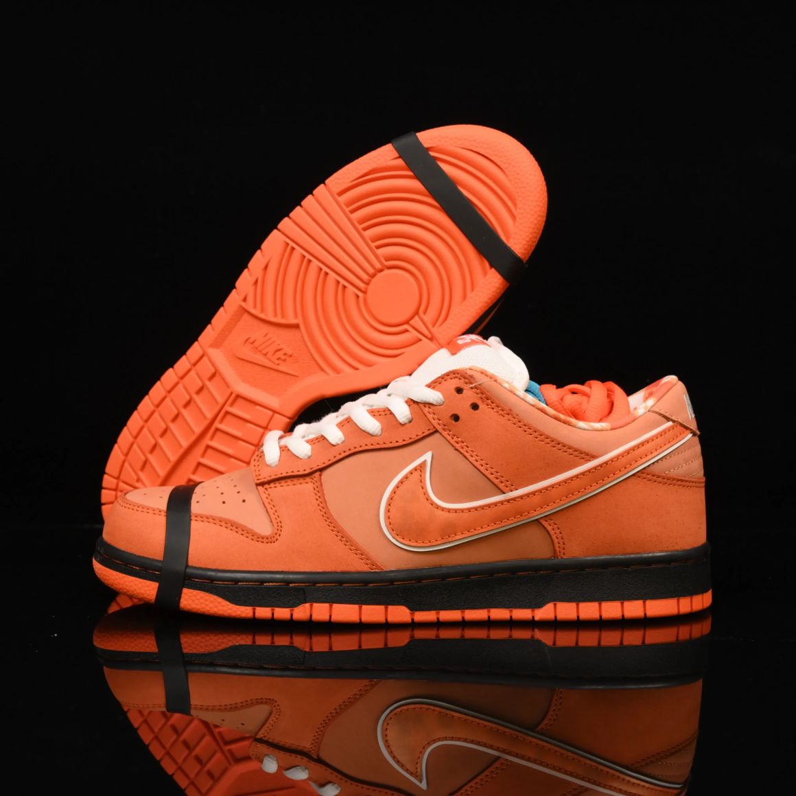 Concepts x Dunk Low SB 'Orange Lobster' FD8776-800