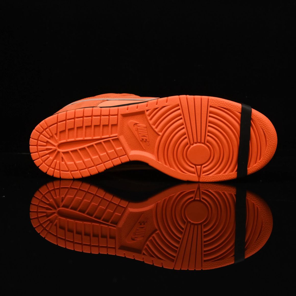 Concepts x Dunk Low SB 'Orange Lobster' FD8776-800