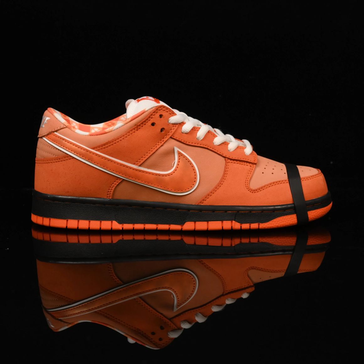 Concepts x Dunk Low SB 'Orange Lobster' FD8776-800