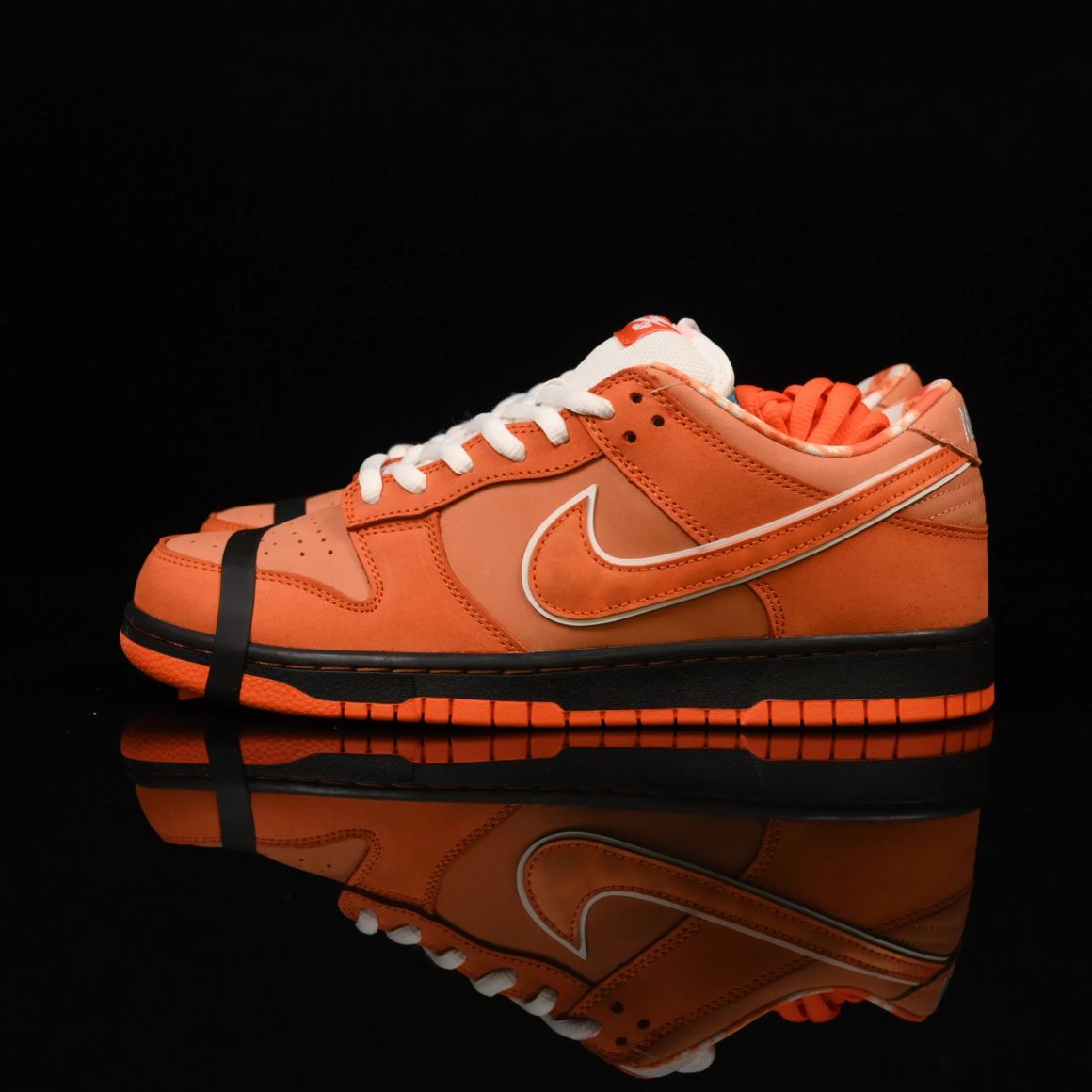 Concepts x Dunk Low SB 'Orange Lobster' FD8776-800