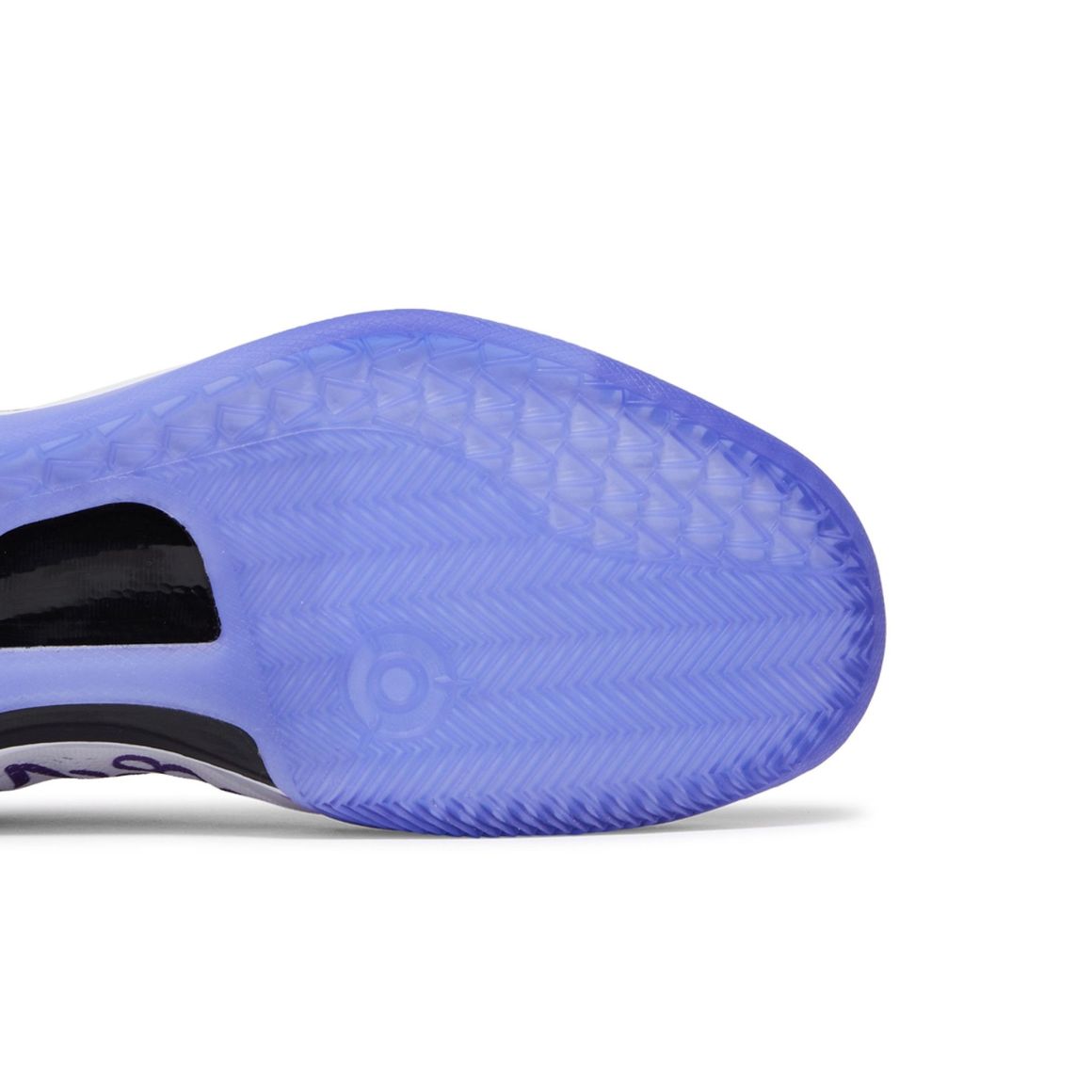 Kobe 8 Protro Court Purple Sneakers – FQ3549-100