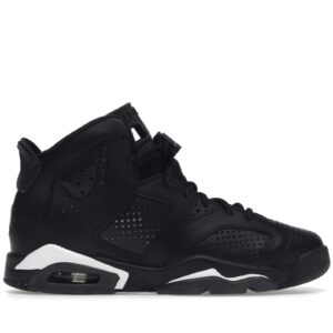 Jordan 6 Retro Black Cat GS Black 384665-020