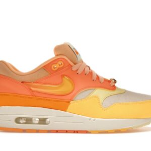 Air Max 1 Puerto Rico Orange Frost FD6955-800